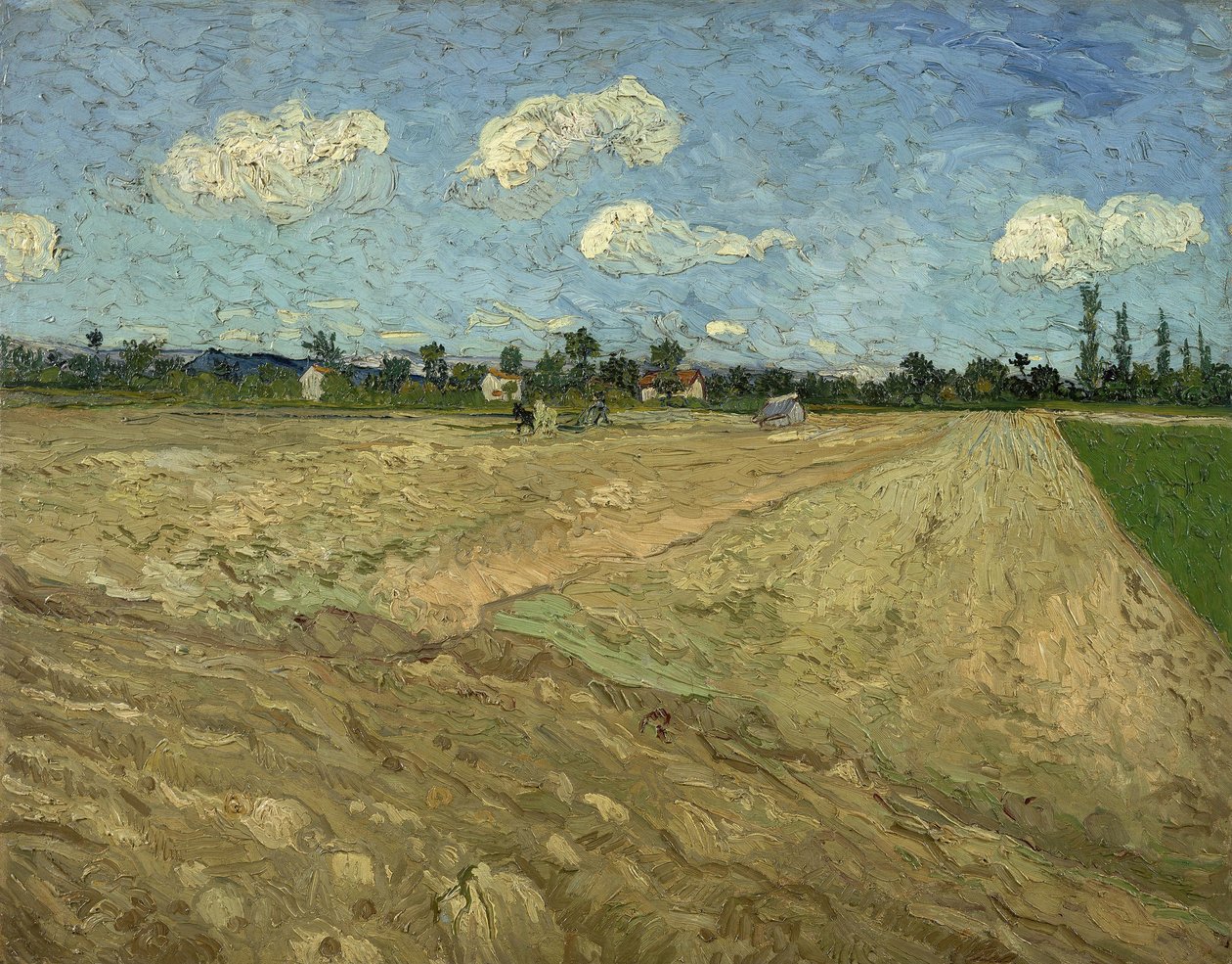 Gepflügte Felder (