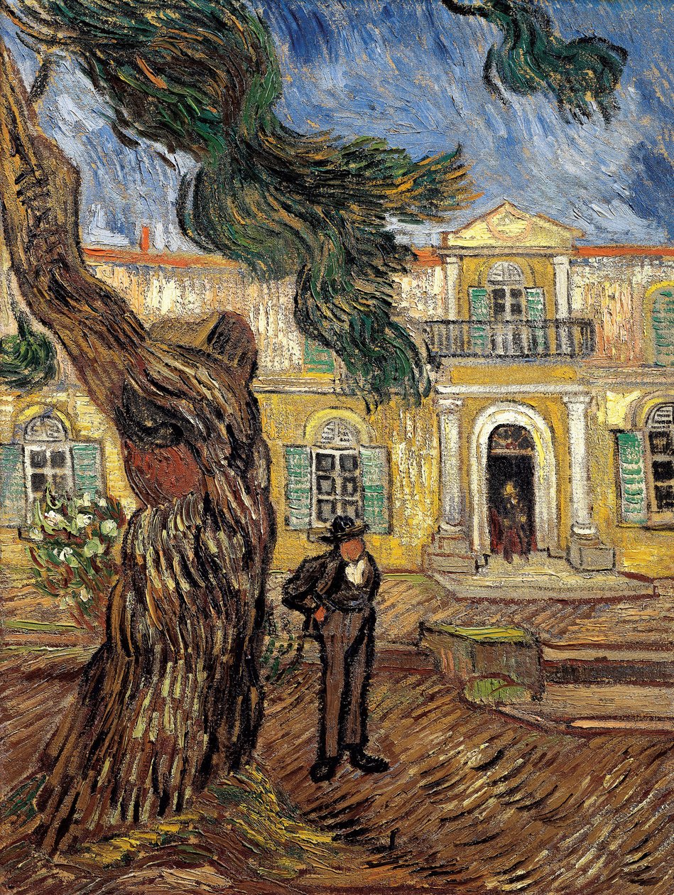 Das Krankenhaus von Saint Paul in Saint Remy de Provence von Vincent van Gogh