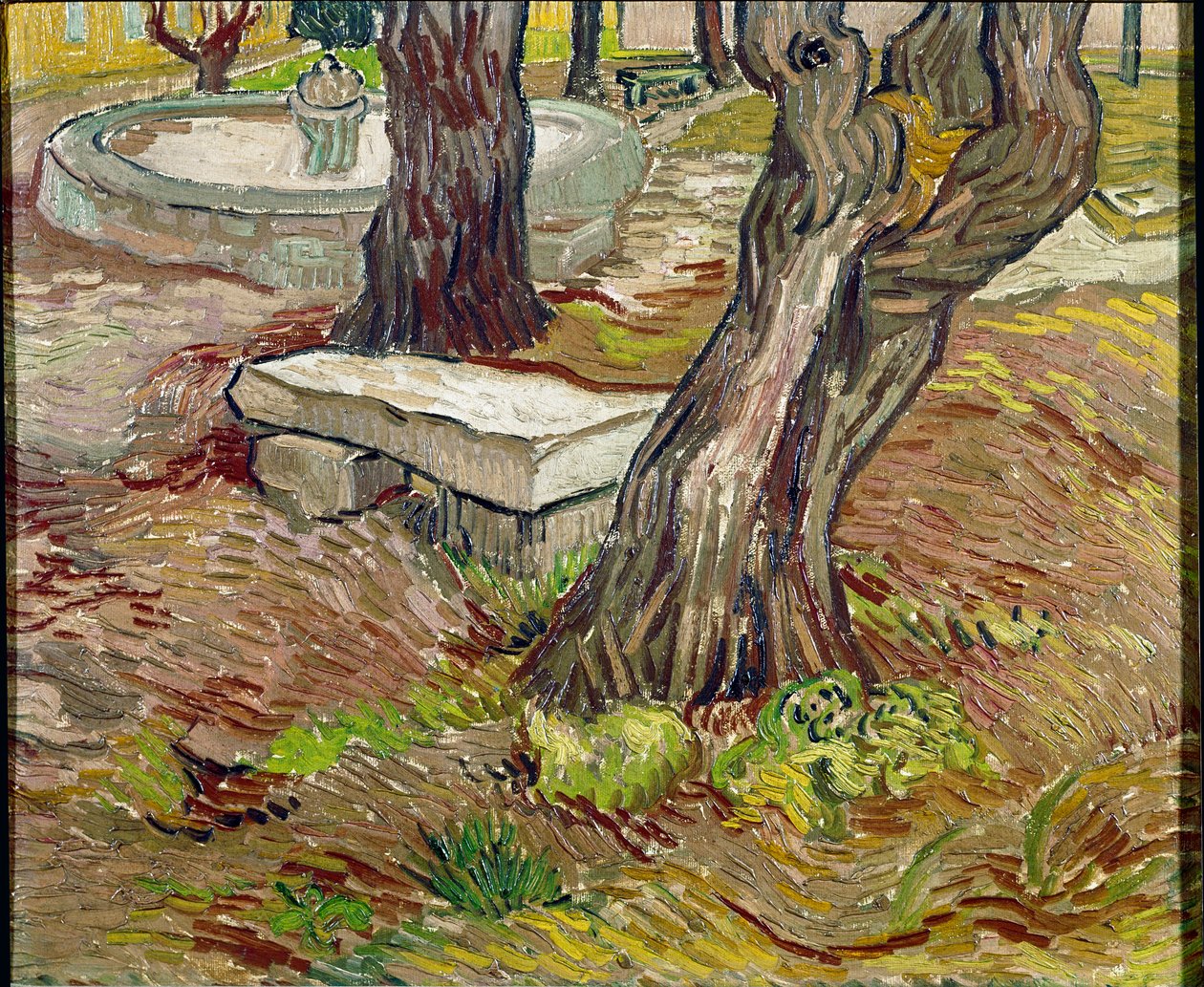 Der Park des Saint-Paul-Asyls in Saint-Remy von Vincent van Gogh
