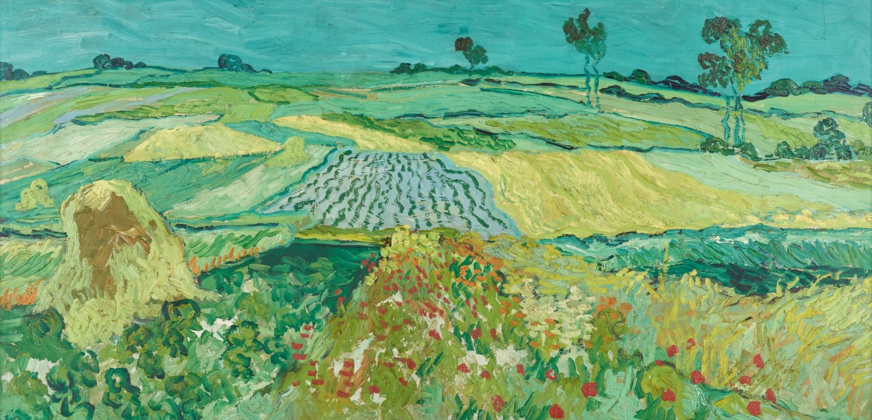 Die Ebene bei Auvers von Vincent van Gogh