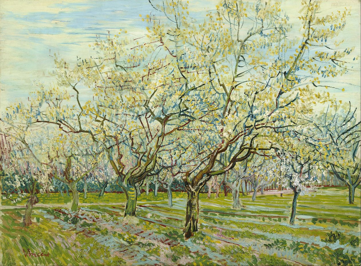 Der weiße Obstgarten von Vincent van Gogh