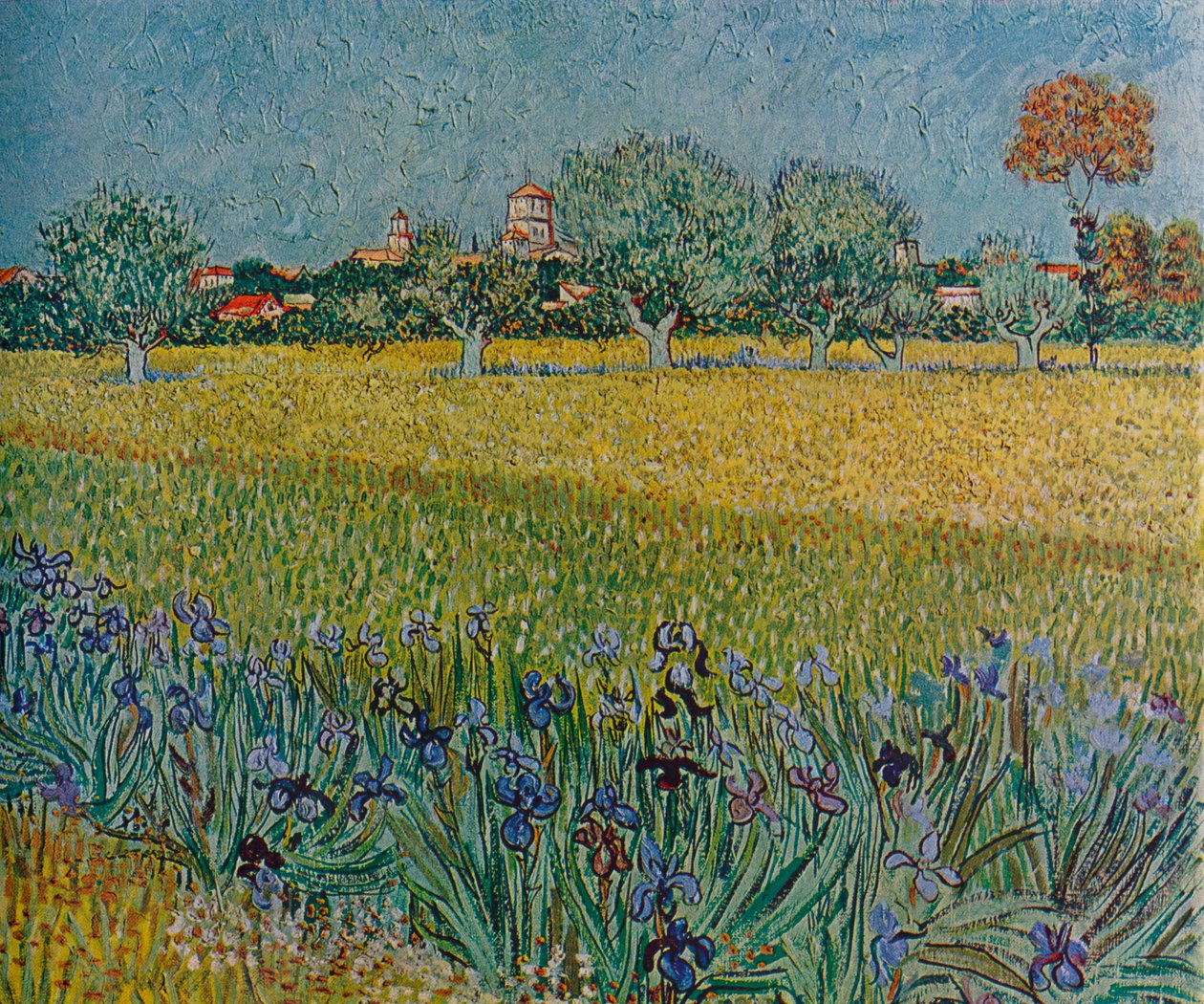 Ansicht von Ales mit blühenden Iris, 1888 von Vincent van Gogh
