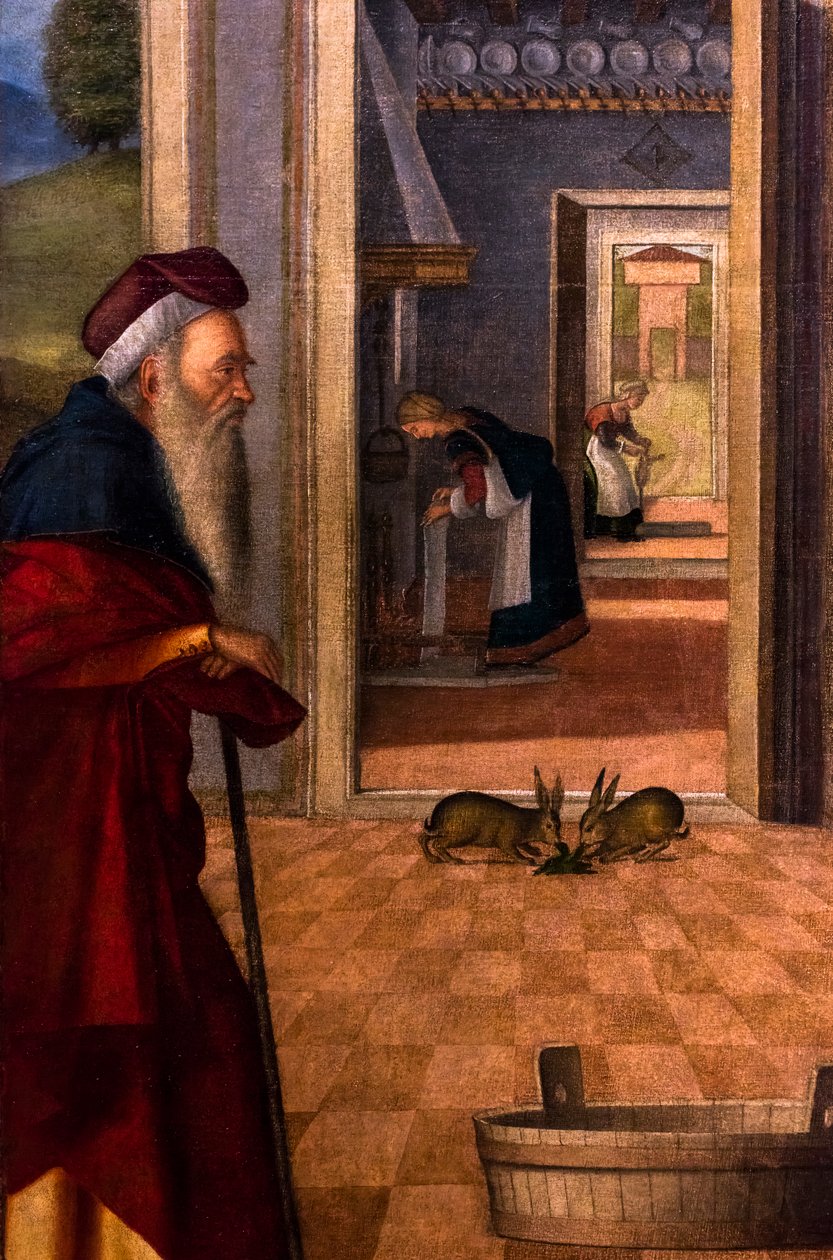Die Geburt der Jungfrau, Zyklus der Scuola degli Albanesi, um 1502/03 von Vittore Carpaccio