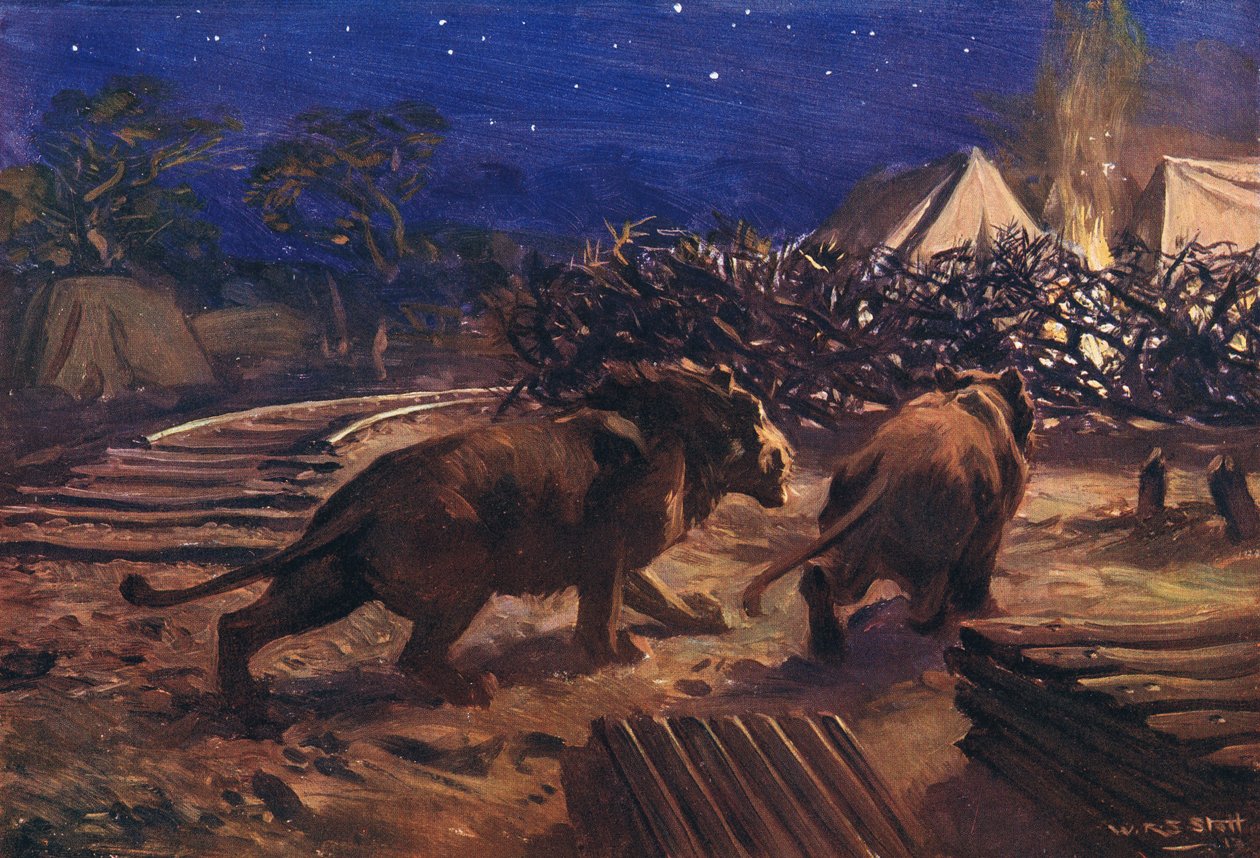 Der Feind des Eisenbahnarbeiters von W.R.S. Stott