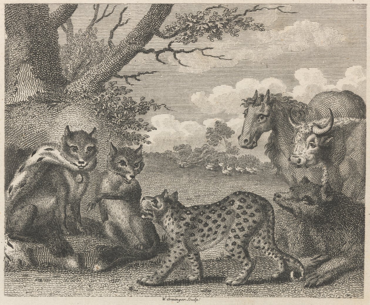 Der Löwe, der Fuchs und die Gänse von W. Grainger