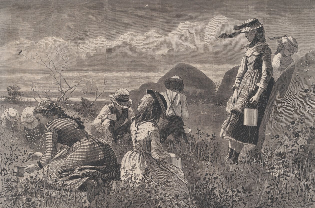 Beeren sammeln, Harper