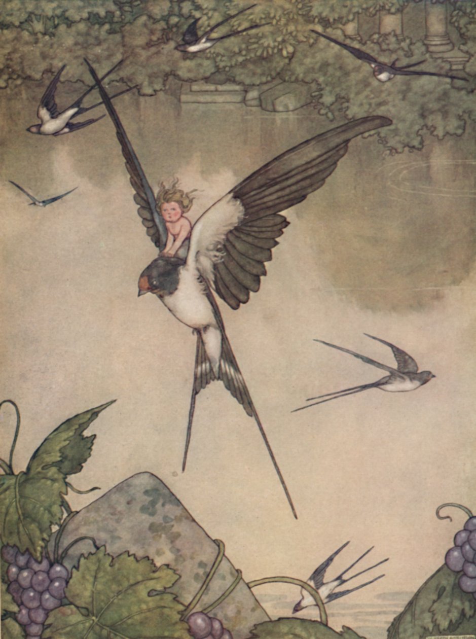 Ja, ich werde mit dir gehen! sagte Tommelise, um 1930 von William Heath Robinson