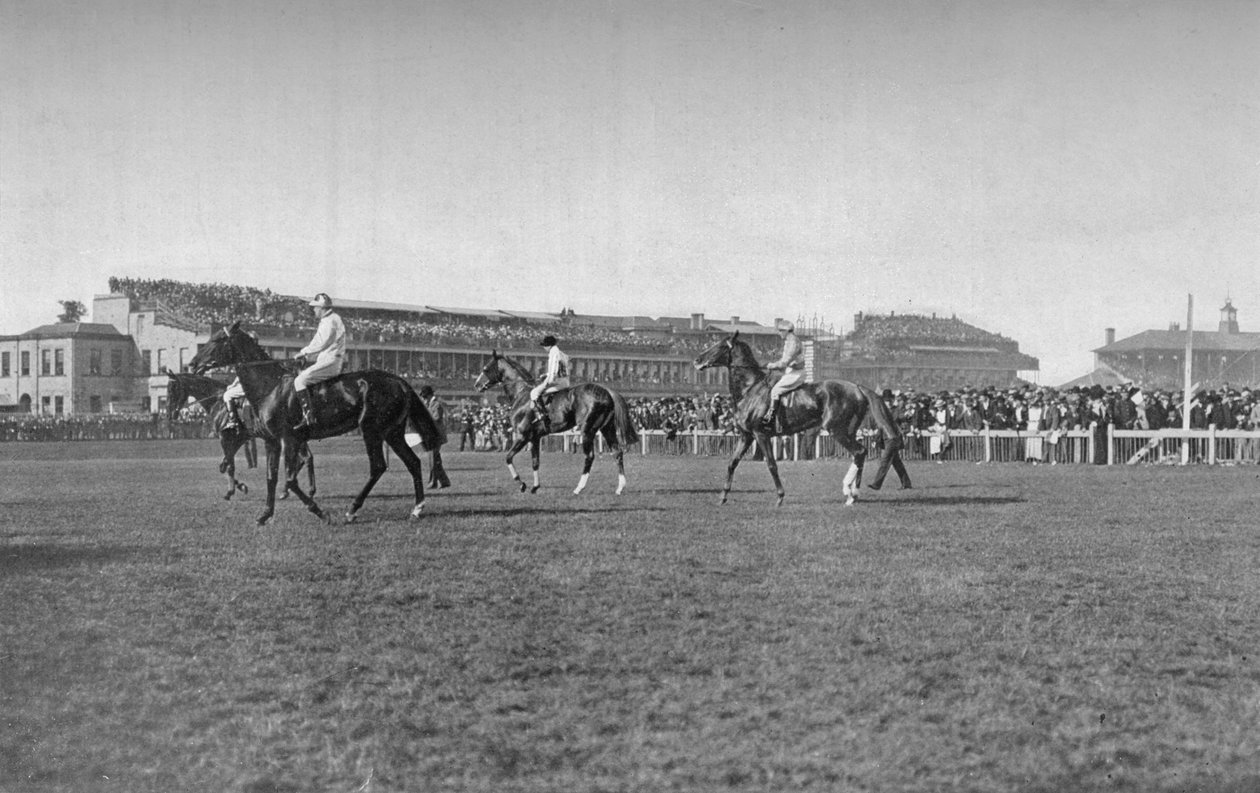 St. Leger Pferde vor der Doncaster-Tribüne, um 1901, 1903 von W. W. Rouch