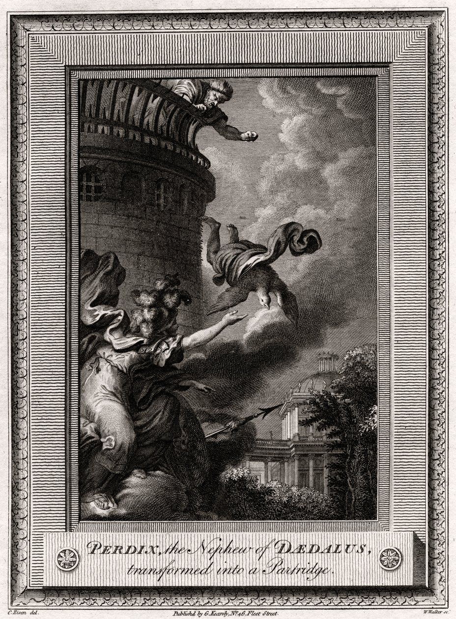 Perdix, der Neffe von Daedalus, verwandelt in ein Rebhuhn, 1774 von W. Walker