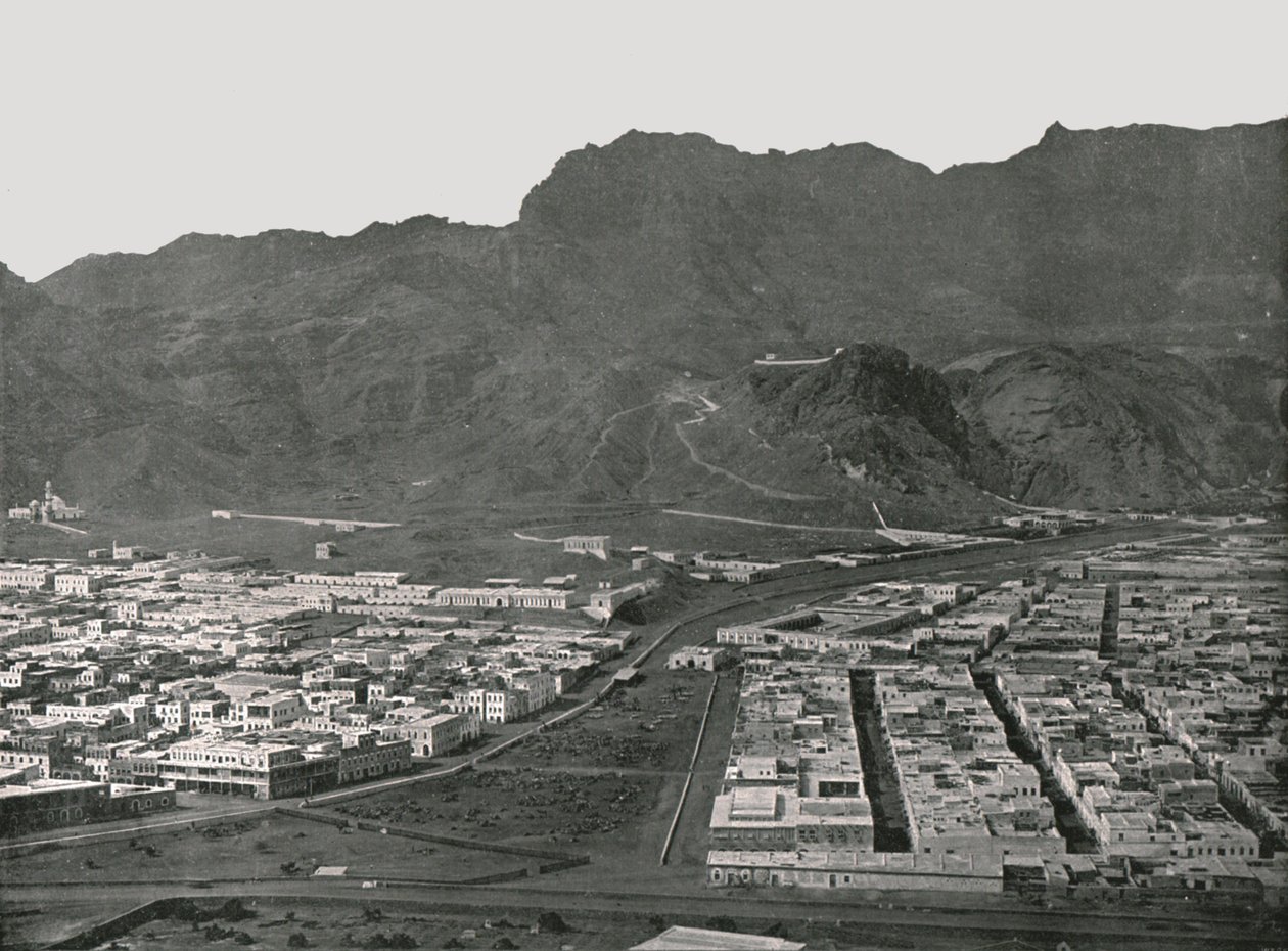 Gesamtansicht des Kamelmarktes, Aden, 1895 von W and S Ltd