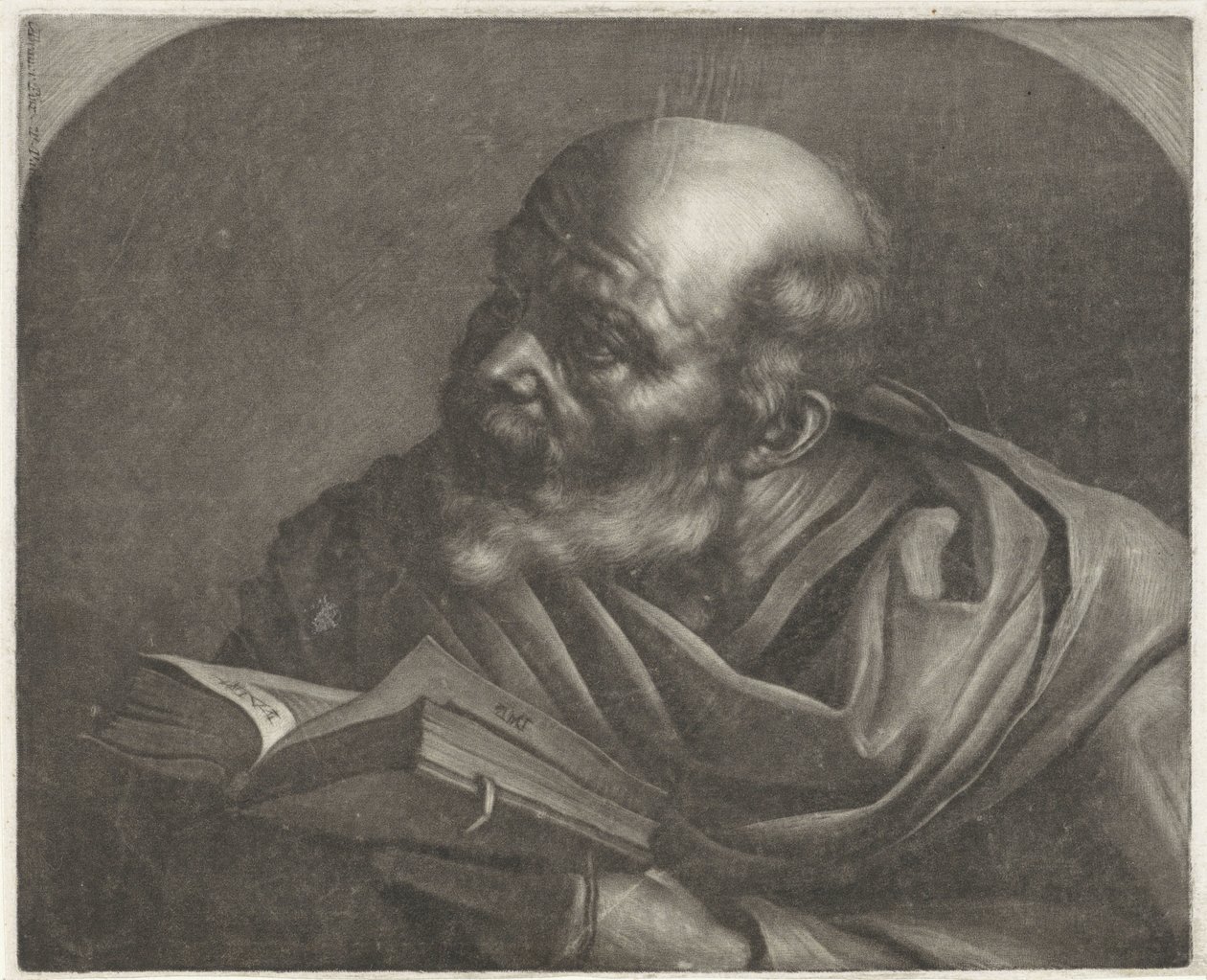 Kale Mann von Wallerant Vaillant