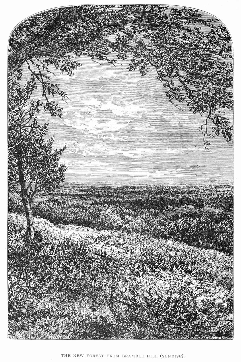 Der New Forest: Seine Geschichte und seine Landschaft von Walter Crane