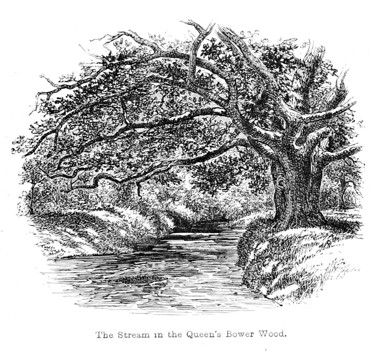 Der Bach im Queens Bower Wood von Walter Crane