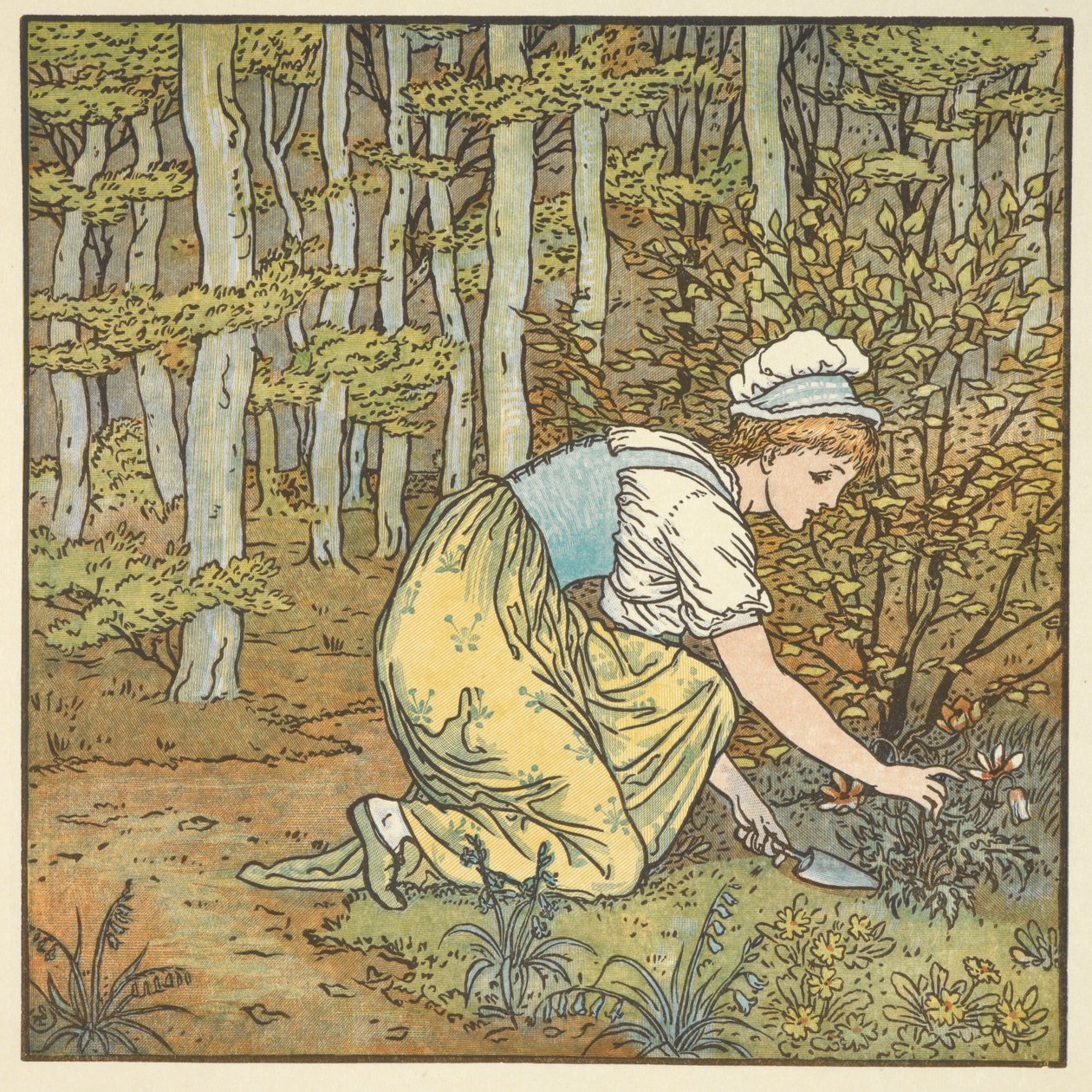 Farbige Illustration für 