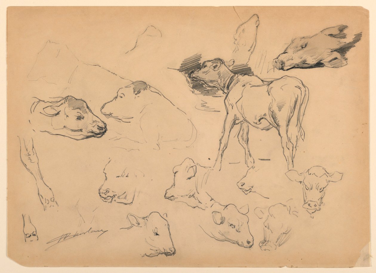 Studien von Rindern, Köpfen von Schafen und einem Schwein von Walter Shirlaw