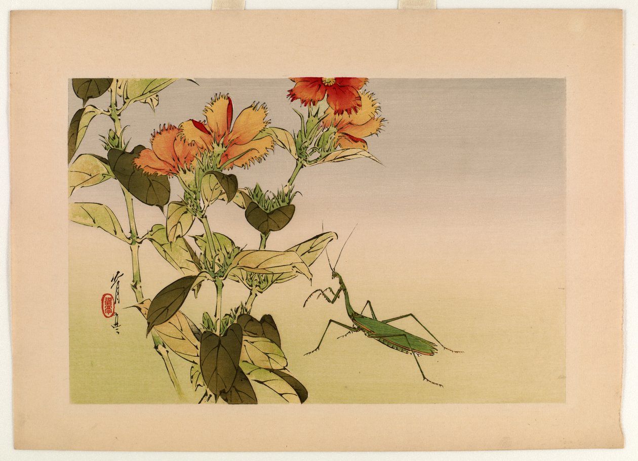 Nelkenblume und Gottesanbeterin, aus der Serie Seiteis Blumen und Vögel, 1916 von Watanabe Seitei
