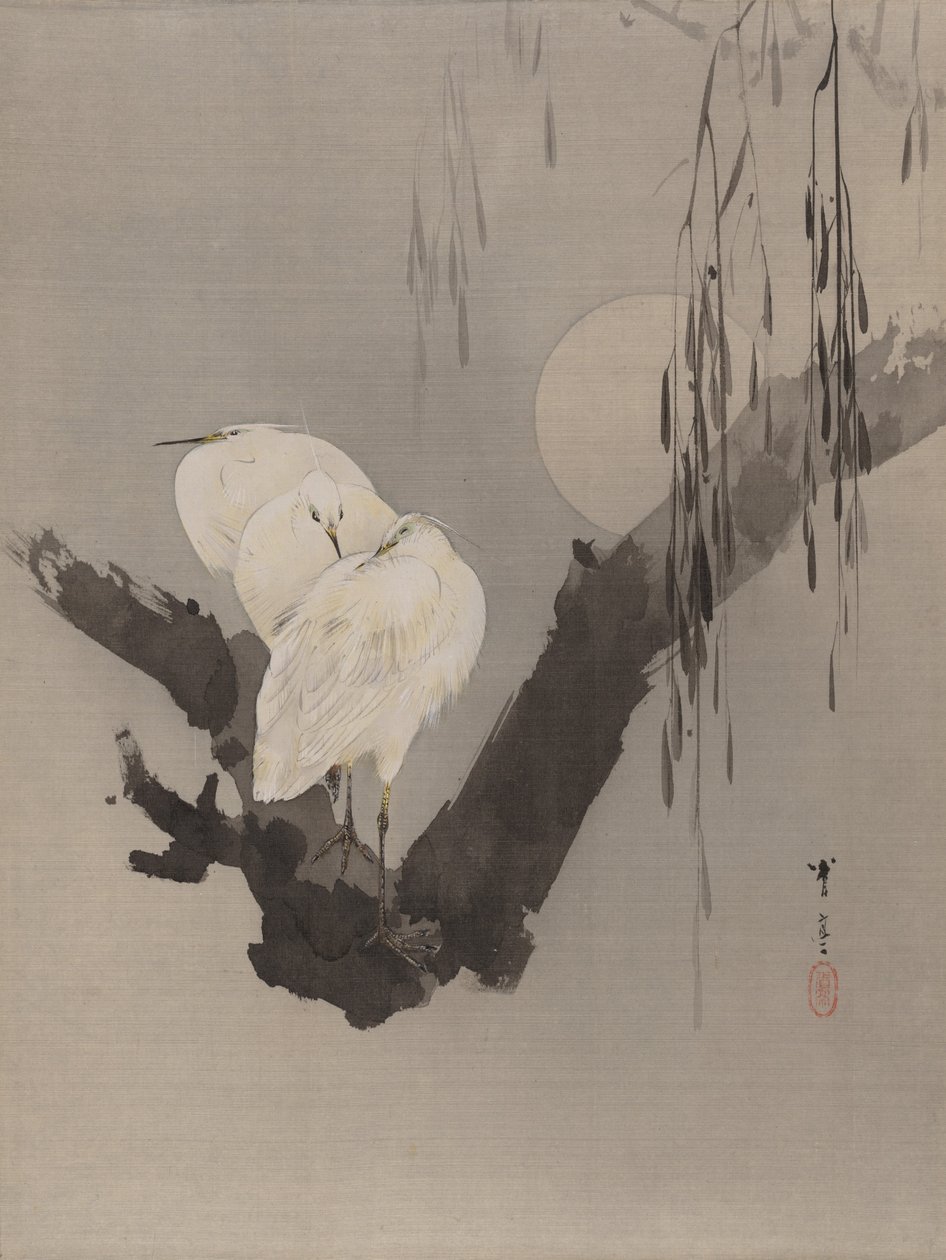 Reiher in einem Baum bei Nacht, ca. 1887 von Watanabe Seitei