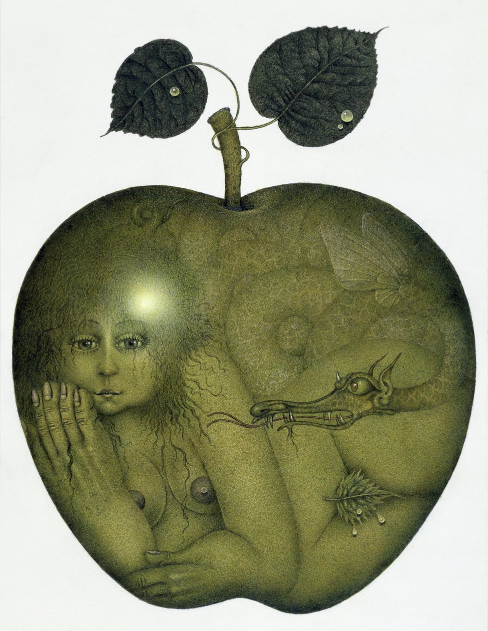 Apfel und Eva und Schlange von Wayne Anderson