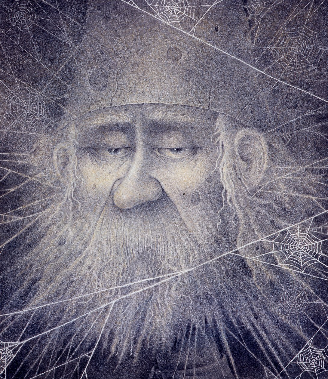 Merlin wurde zu Stein von Wayne Anderson