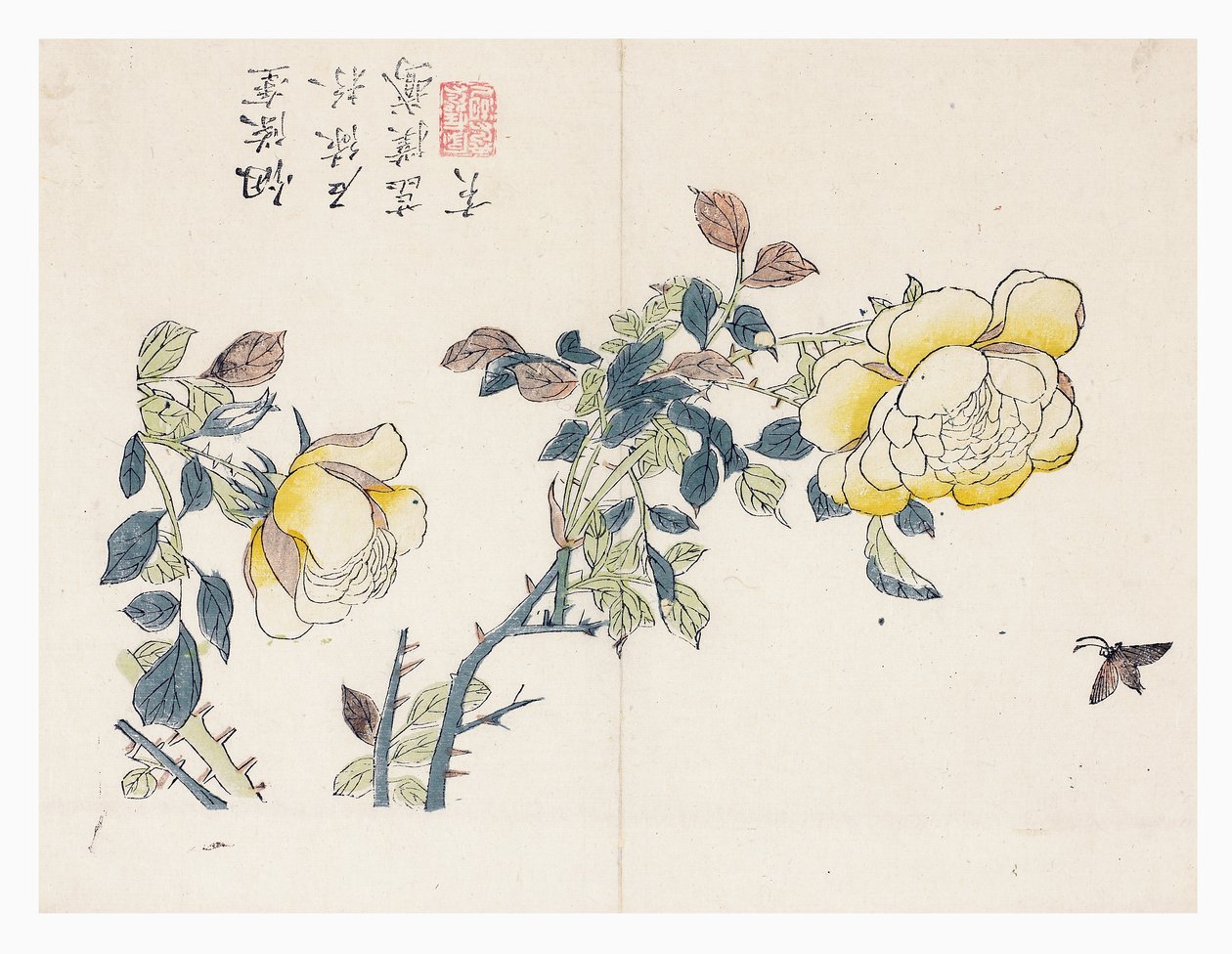 Senfkorngarten von Wen shu Chao