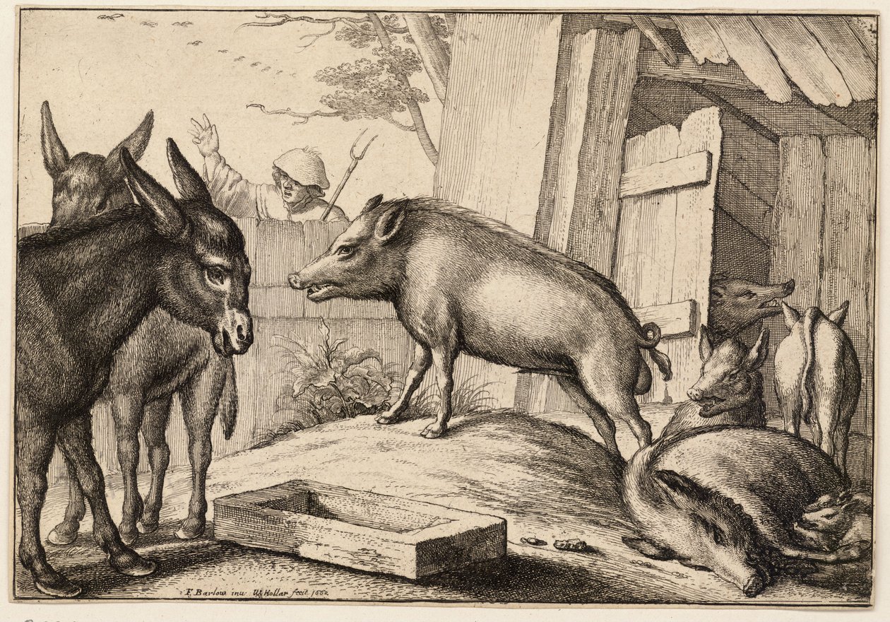 Schweine und Esel von Wenceslaus Hollar