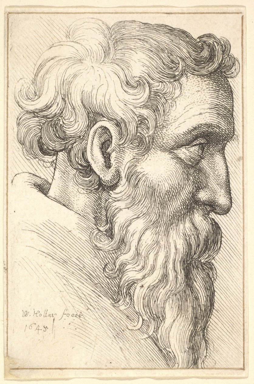 Bärtiger alter Mann im Profil nach rechts, 1645 von Wenceslaus Hollar