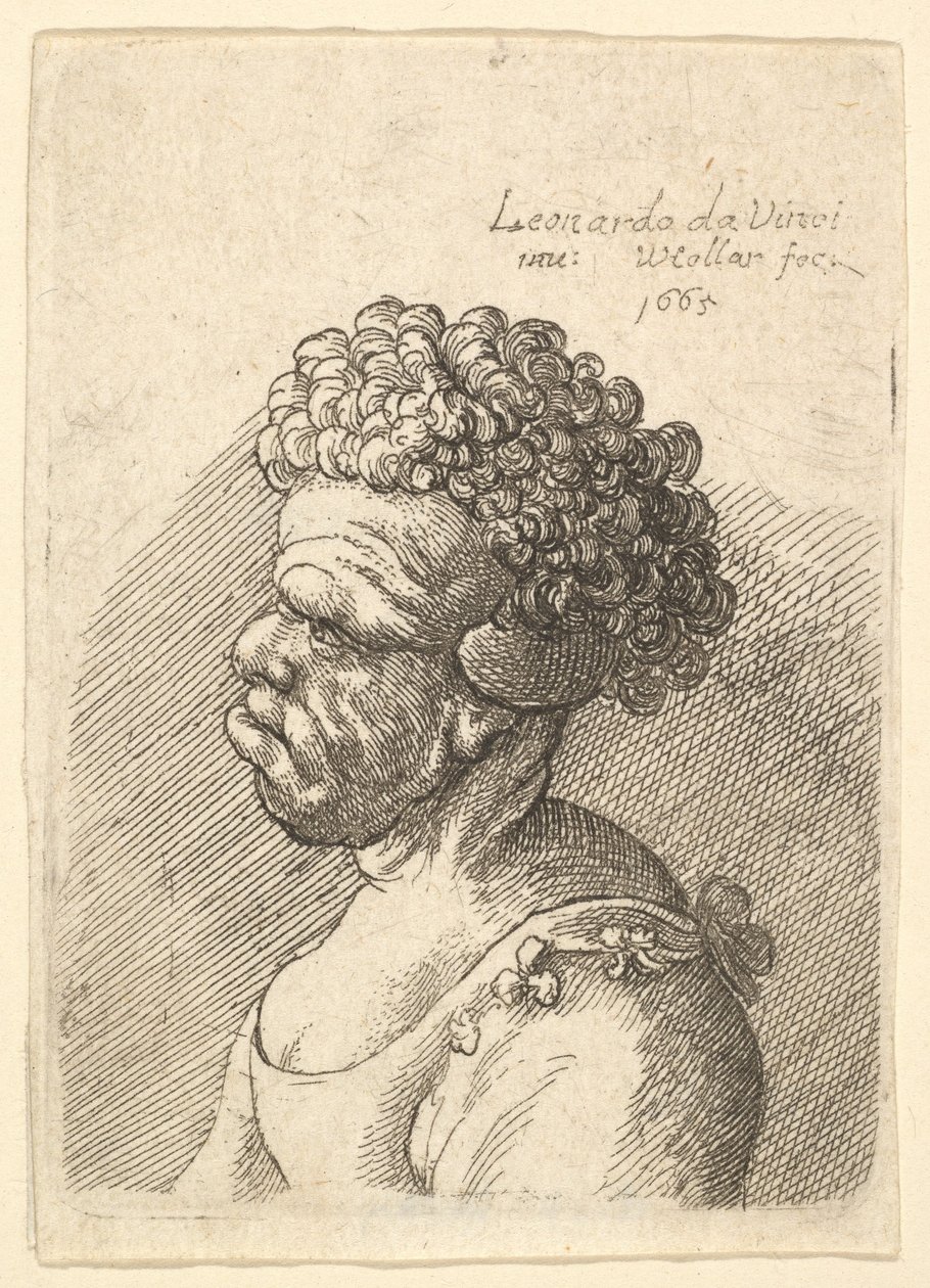 Büste einer deformierten Frau mit lockigem Haar im Profil nach links von Wenceslaus Hollar