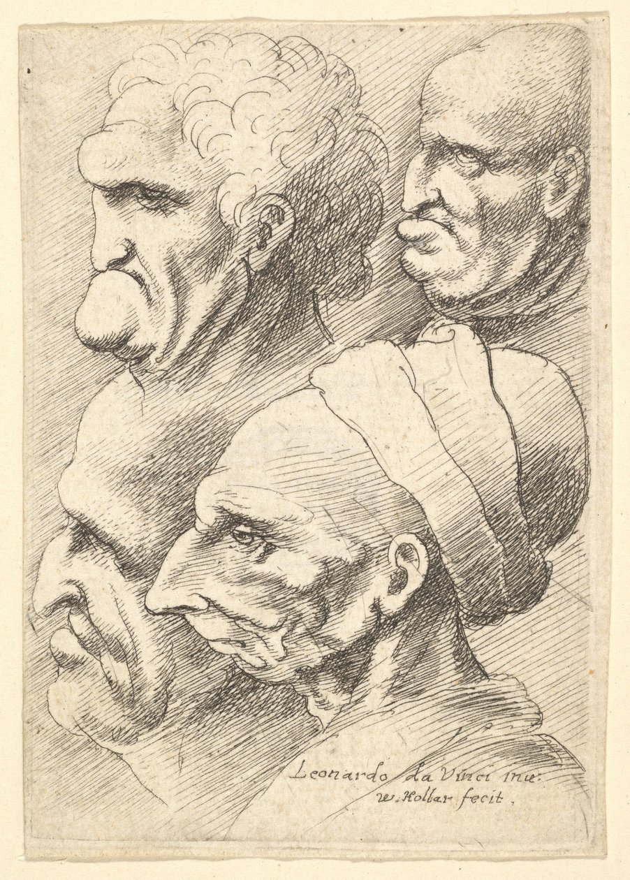 Vier groteske Köpfe im Profil nach links, 1625-77 von Wenceslaus Hollar