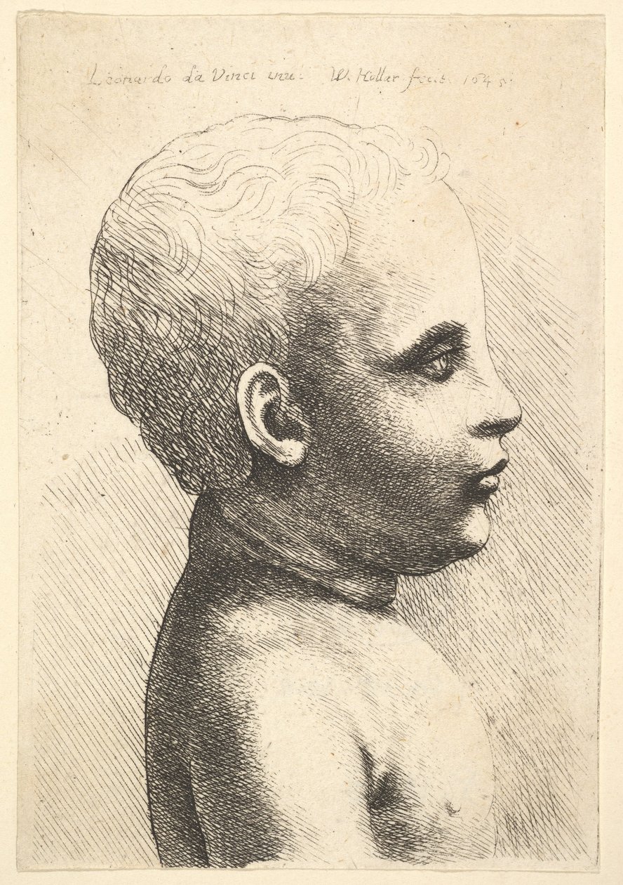 Kopf und Schulter eines Kindes, im Profil nach rechts, 1645 von Wenceslaus Hollar