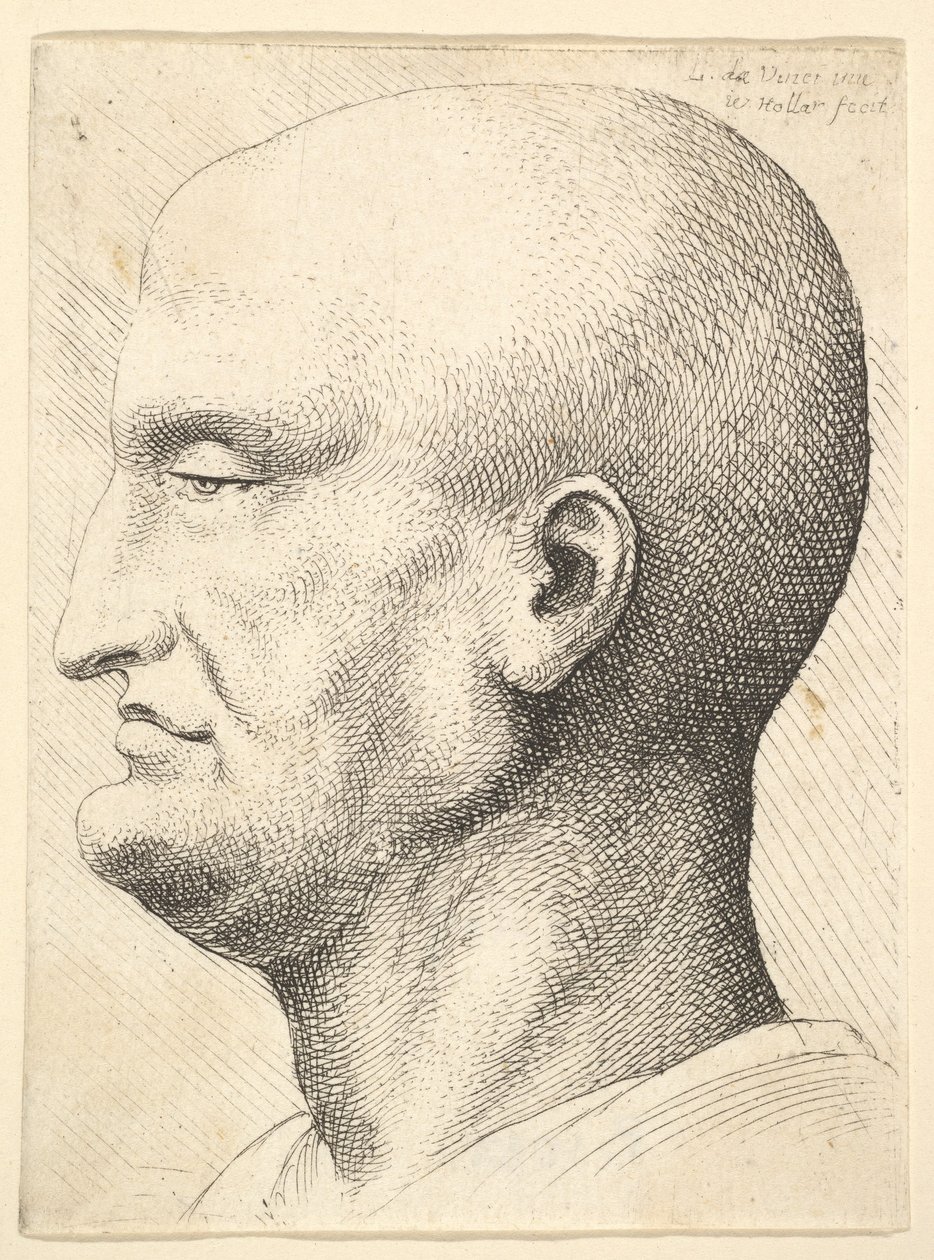 Kopf eines kahlen Mannes im Profil nach links, 1644-52 von Wenceslaus Hollar