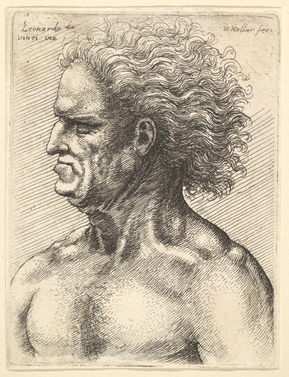 Kopf eines muskulösen alten Mannes im Profil nach links mit fließendem Haar, 1625-77 von Wenceslaus Hollar