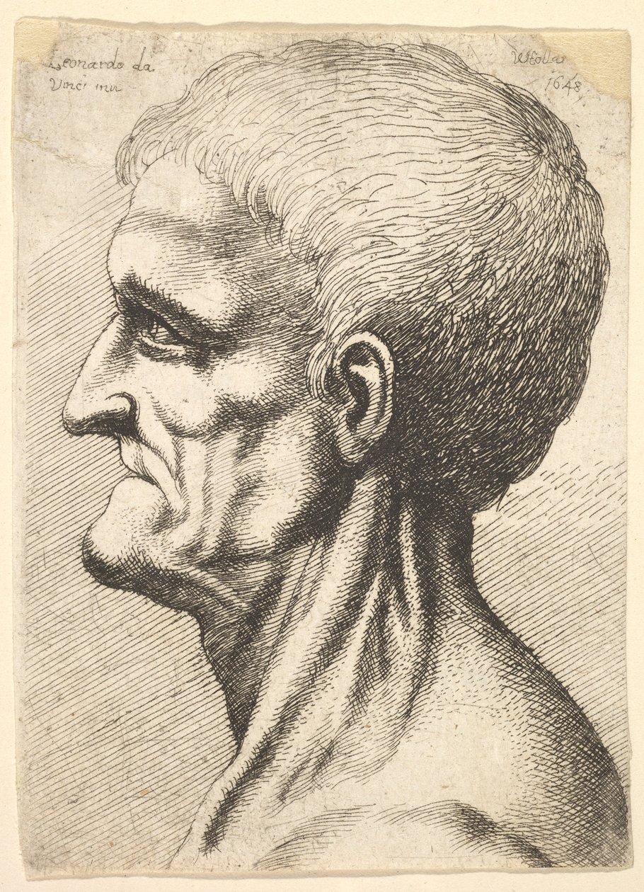 Kopf eines zahnlosen Mannes mit nacktem, sehnigem Hals im Profil nach links, 1648 von Wenceslaus Hollar
