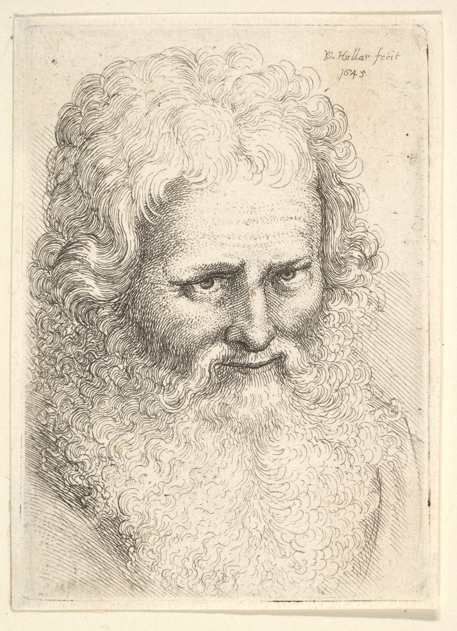Kopf eines alten Mannes mit großem Bart von Wenceslaus Hollar