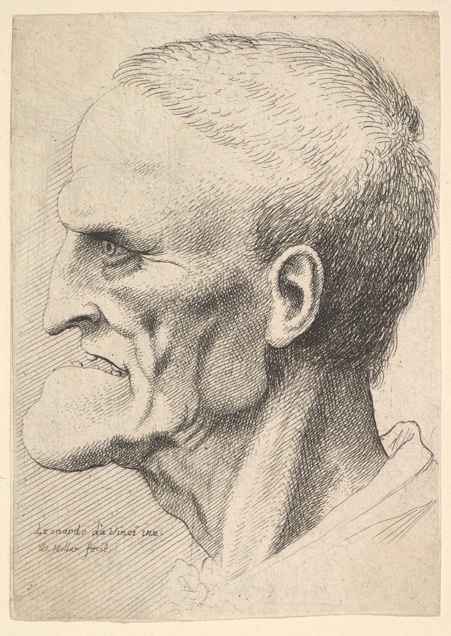 Kopf eines alten Mannes mit ausgeprägtem Kinn, kurz geschnittenem Haar und offenem Mund, 1625-77 von Wenceslaus Hollar