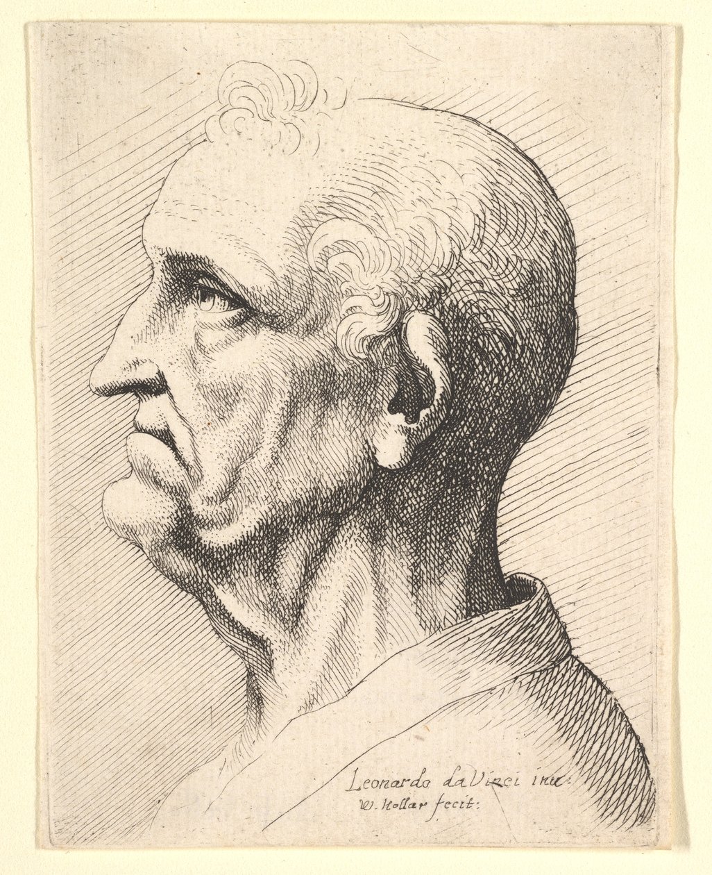 Kopf eines alten Mannes mit Locken um das Ohr im Profil nach links, 1644-52 von Wenceslaus Hollar