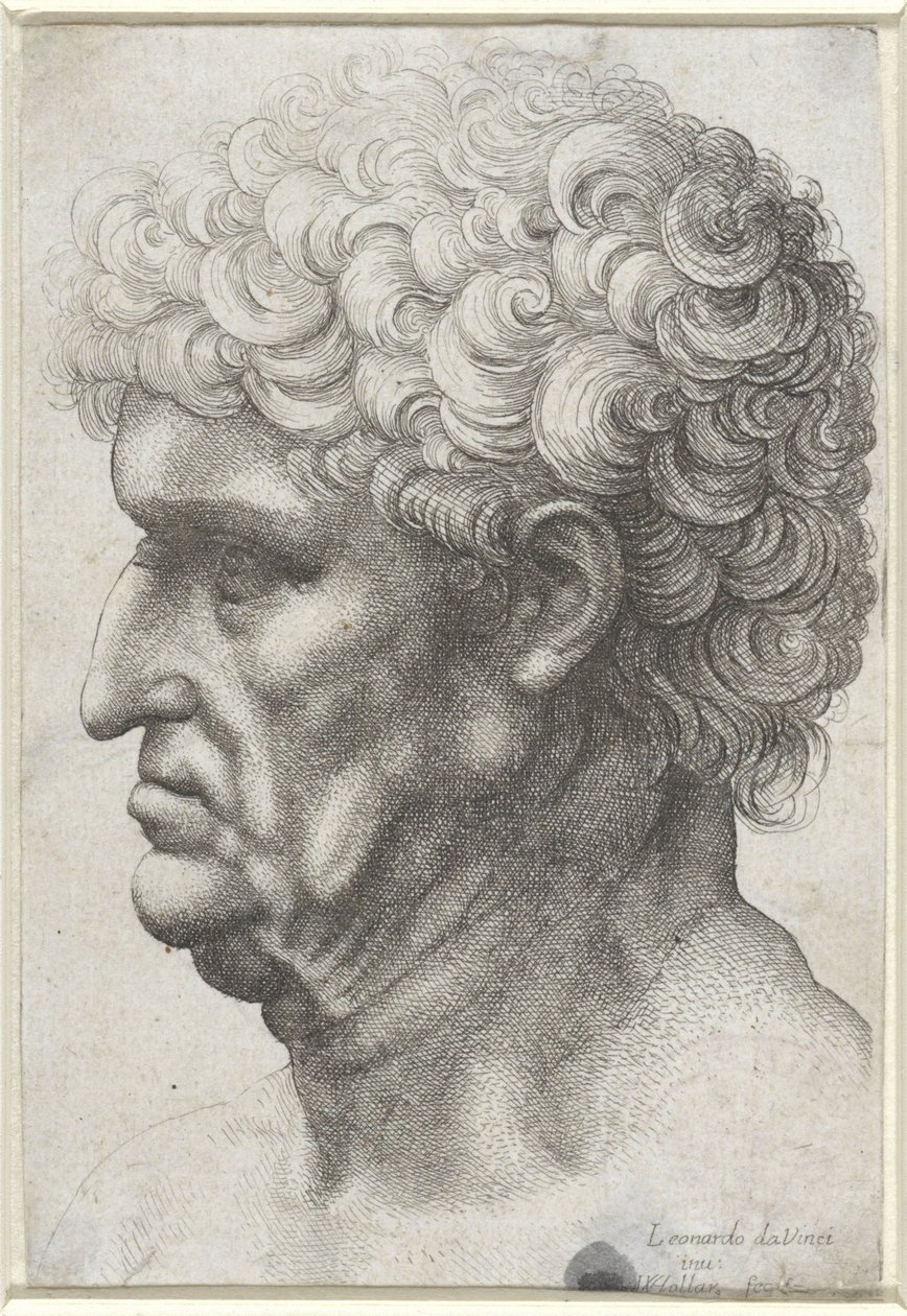 Kopf eines Mannes mit lockigem Haar, im Profil von Wenceslaus Hollar