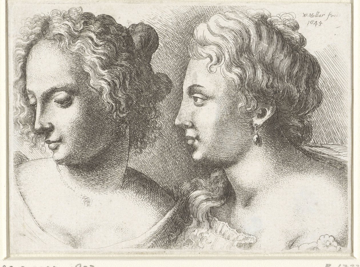 Köpfe von zwei jungen Frauen (Karikaturen, Köpfe und Missbildungen nach Leonardo da Vinci) von Wenceslaus Hollar