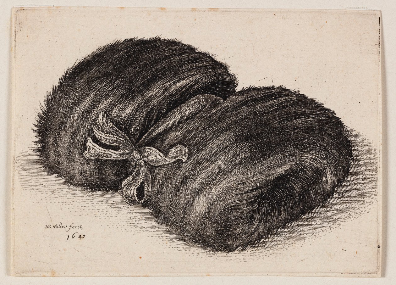 Dunkler Pelzmuff mit einem Schleifenband von Wenceslaus Hollar