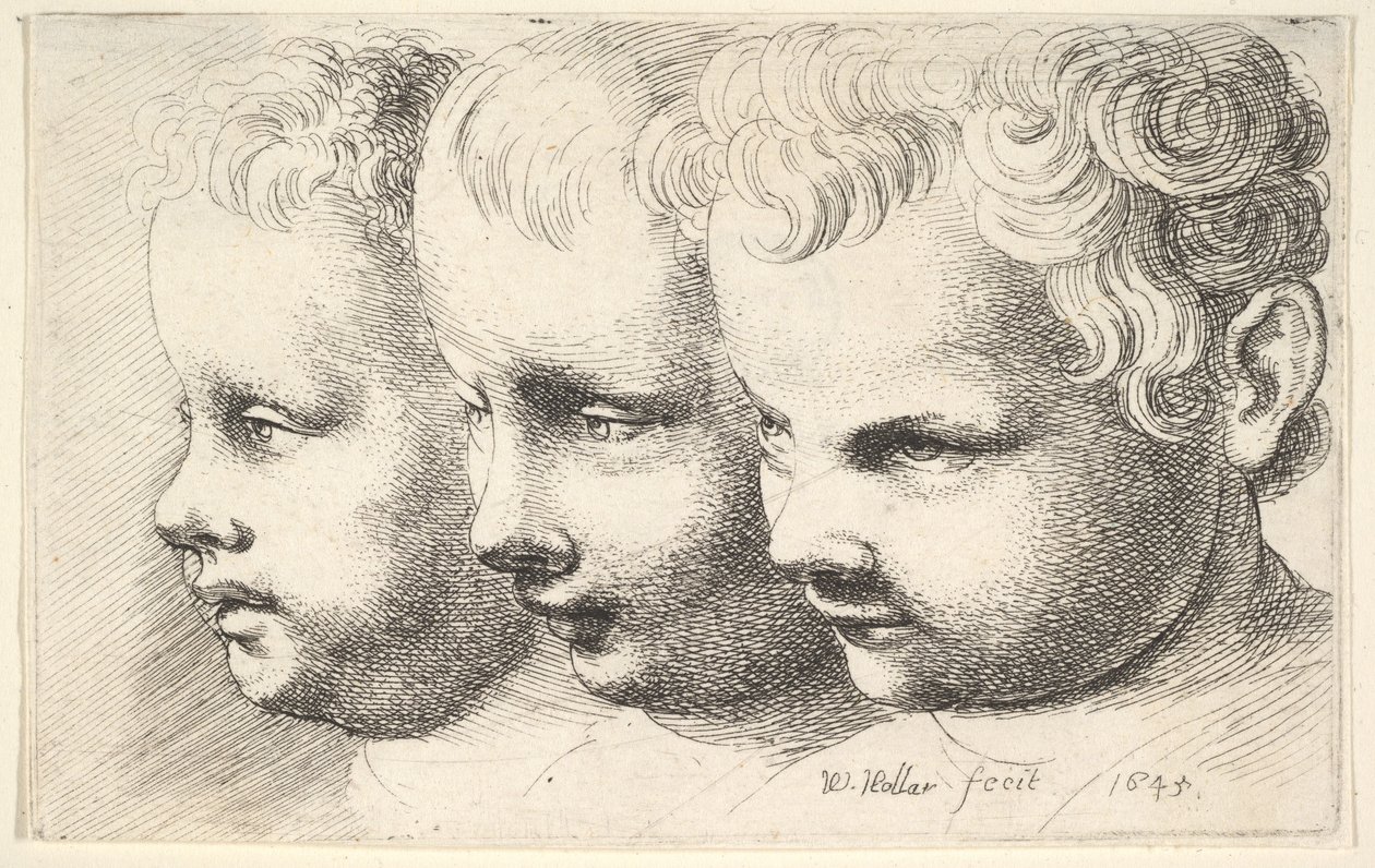 Drei Kinderköpfe von Wenceslaus Hollar