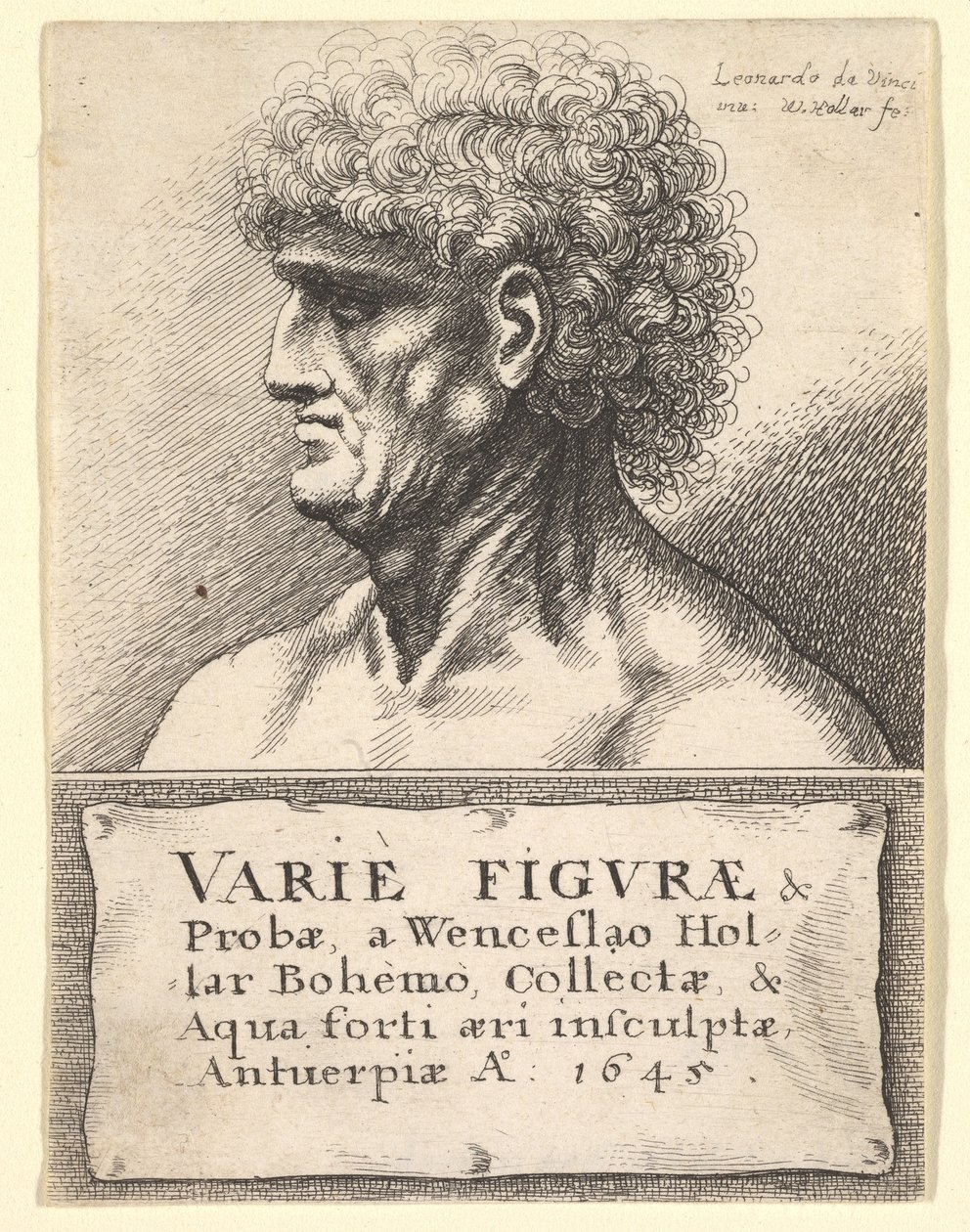Titelseite zu Varie Figuræ & Probæ, 1645 von Wenceslaus Hollar
