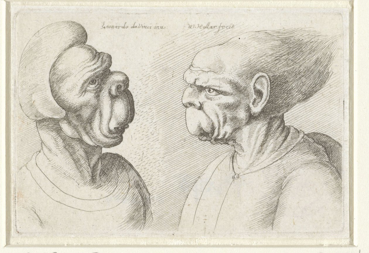 Zwei deformierte Köpfe (Serie: Varie figurae et probae) (Serie: Karikaturen, Köpfe und Deformationen nach Leonardo da Vinci) von Wenceslaus Hollar