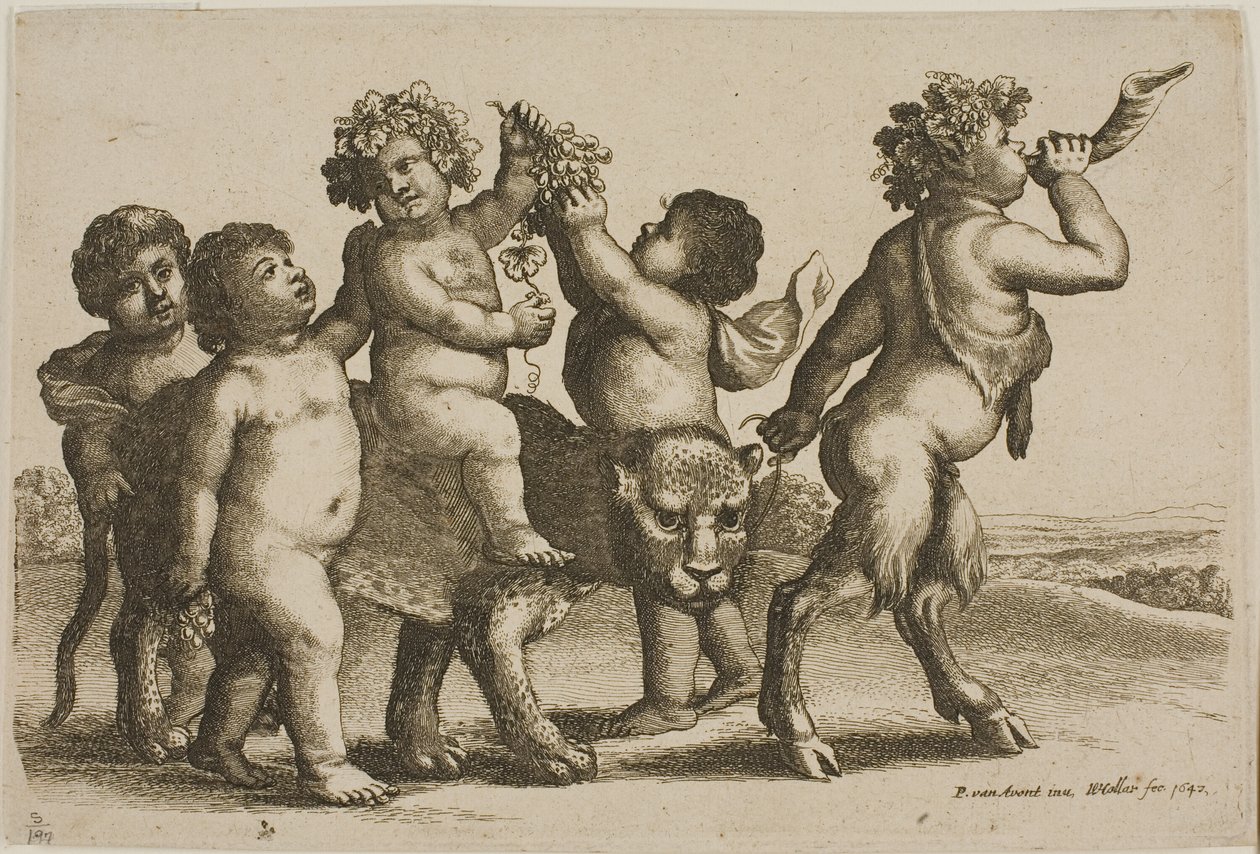 Junger Bacchus reitet auf einem Leoparden, geführt von einem Satyr, der ein Horn bläst von Wenceslaus Hollar