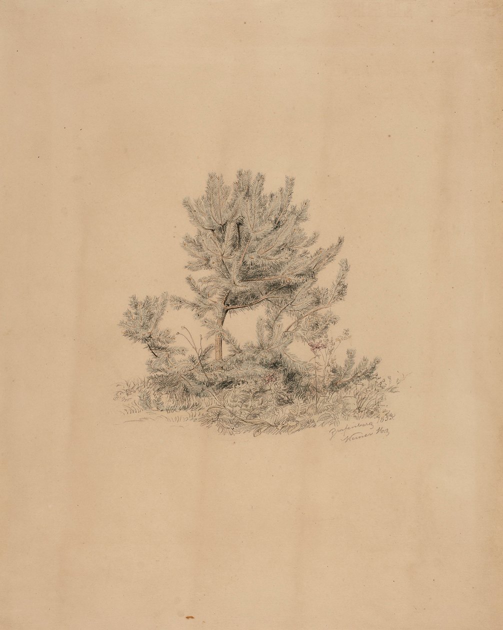 Ohne Titel von Werner Holmberg