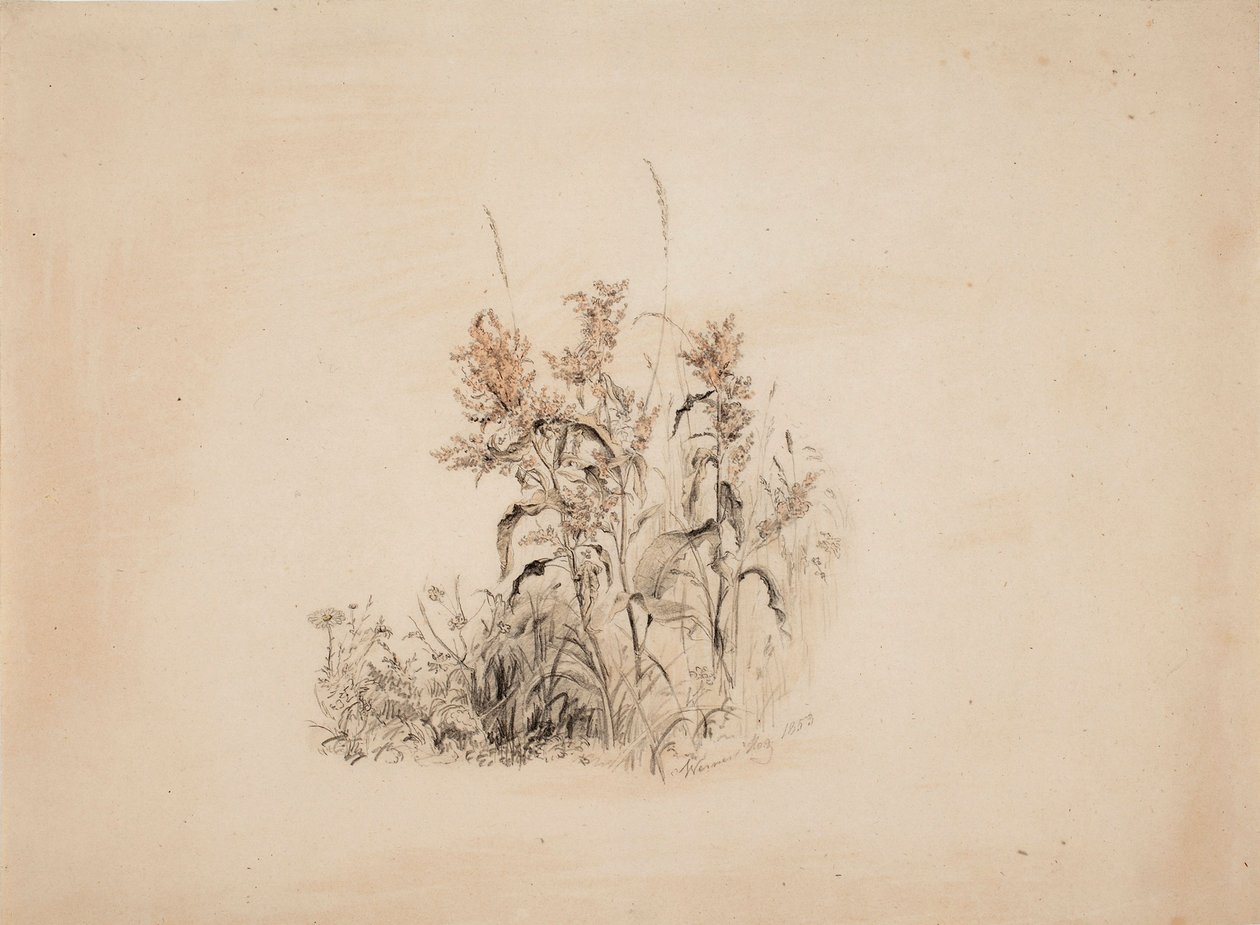 Ohne Titel von Werner Holmberg