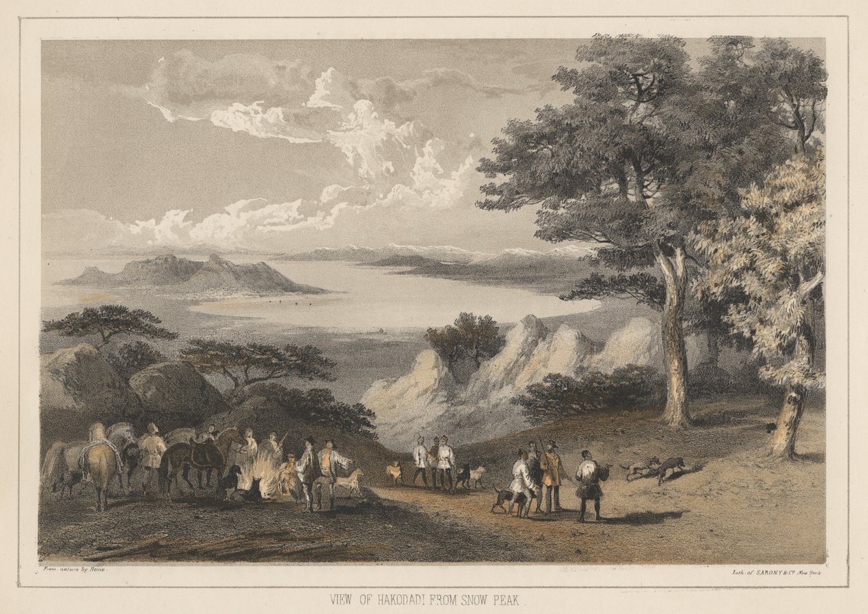 Blick auf Hakodadi vom Schneegipfel, 1855 von Wilhelm Joseph Heine