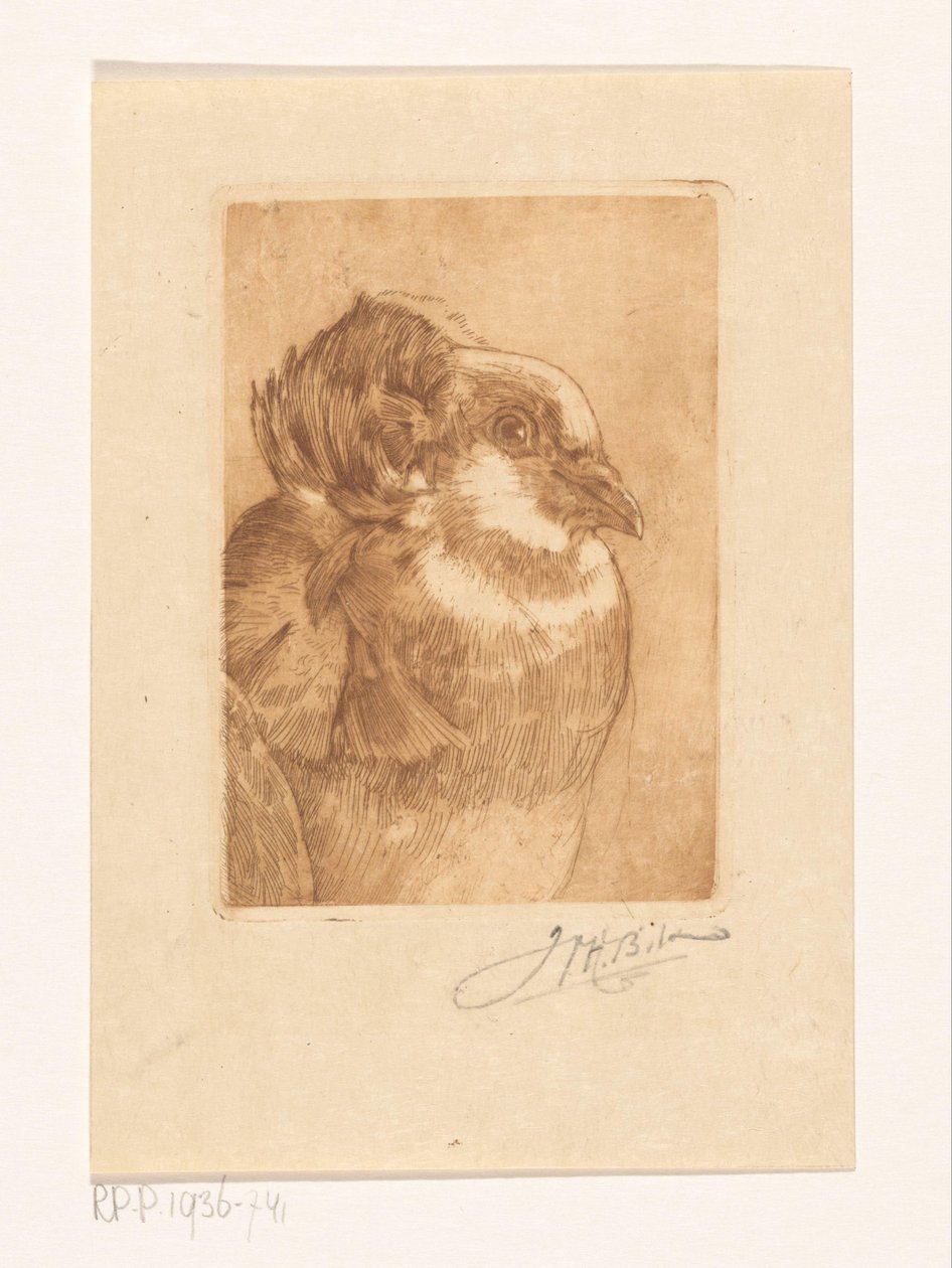 Studie einer Taube von Willem Hendrik Bik (signed by artist)