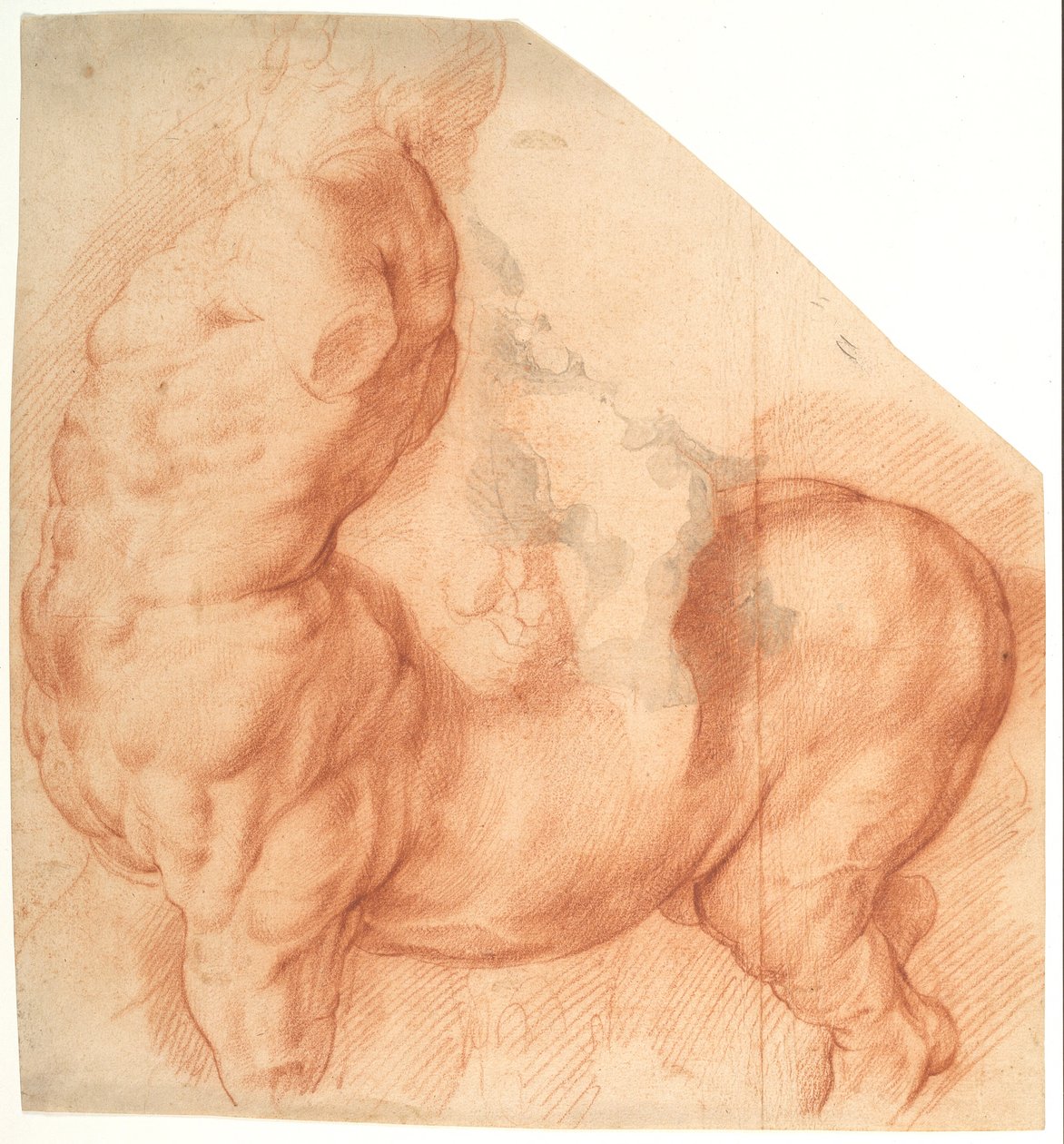 Gezähmter Zentaur. Antike Skulptur von links gesehen von Willem Panneels