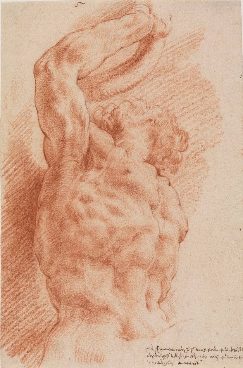 Laokoon. Laokoons Torso von unten rechts gesehen. von Willem Panneels