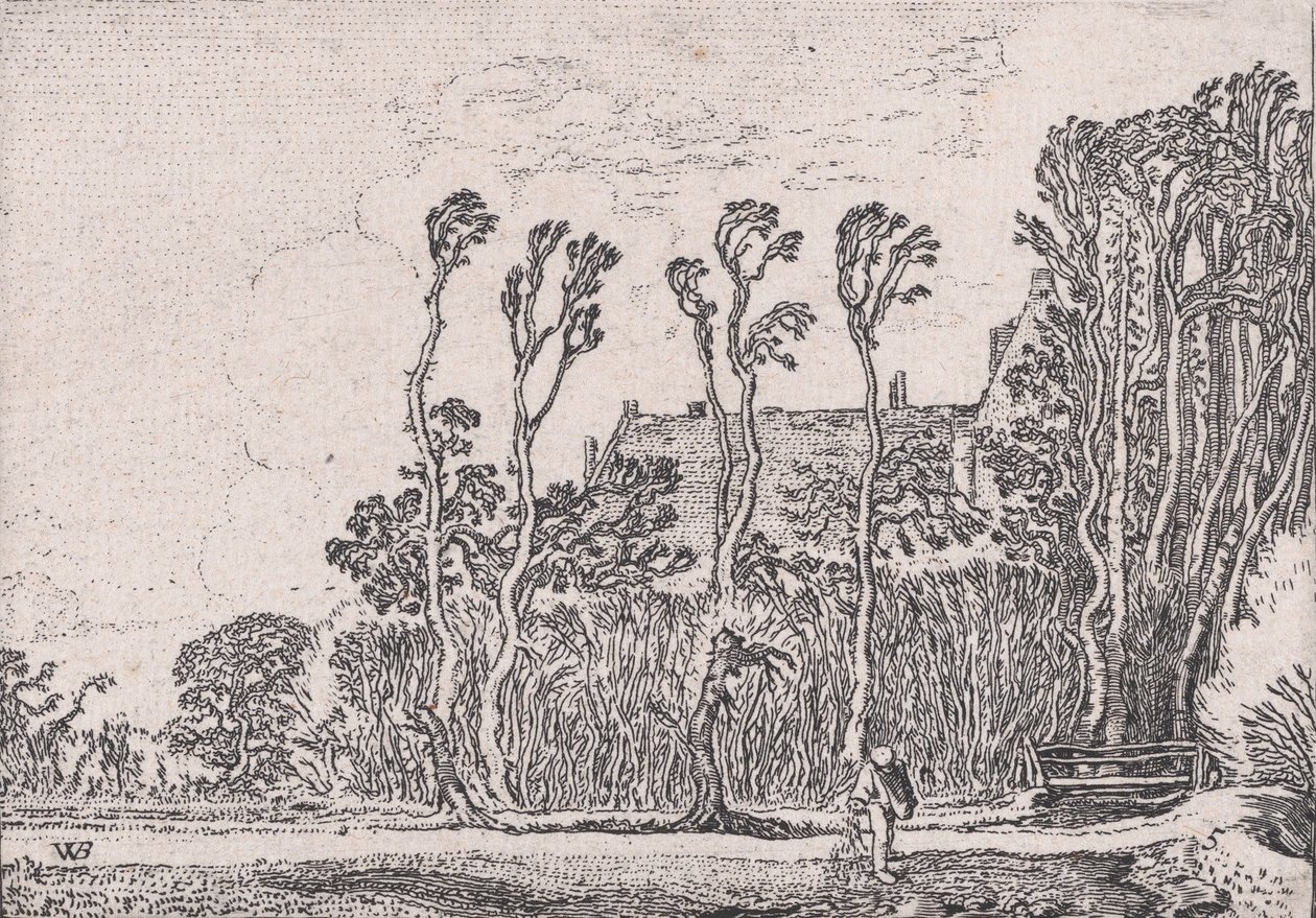 Der Sämann, aus Verscheyden Landtschapjes Verschiedene kleine Landschaften, Platte 5 von Willem Pietersz. Buytewech