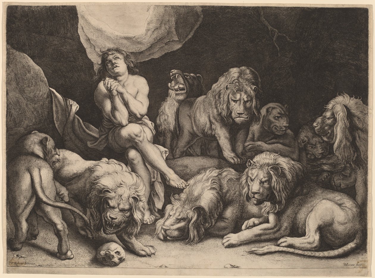 Daniel in der Löwengrube von Willem van der Leeuw after Sir Peter Paul Rubens